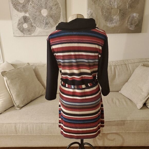 Papillon Belted Striped Sweater Dress - Picture 6 of 11